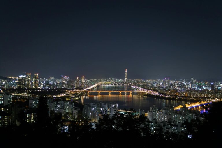 Explore the dazzling night cityscape of Seoul, brightly illuminated with modern skyscrapers over the Han River.