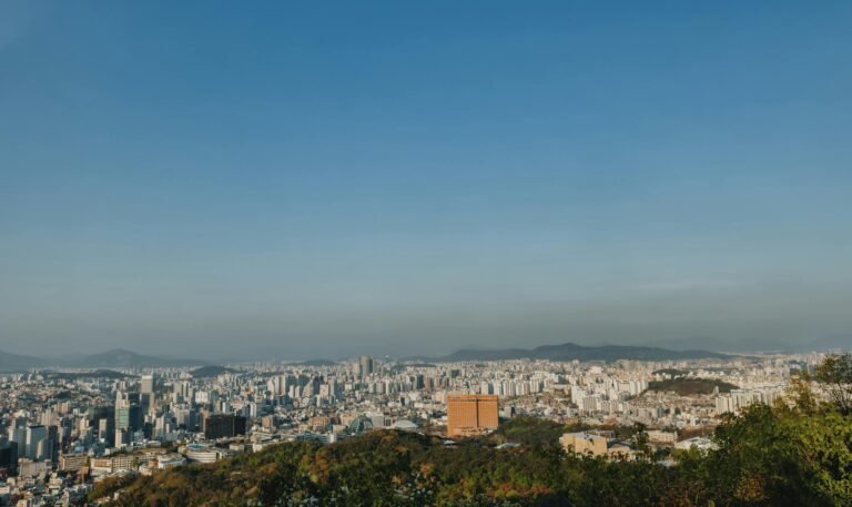 Expansive view of Seoul's skyline from a hilltop with clear blue sky.