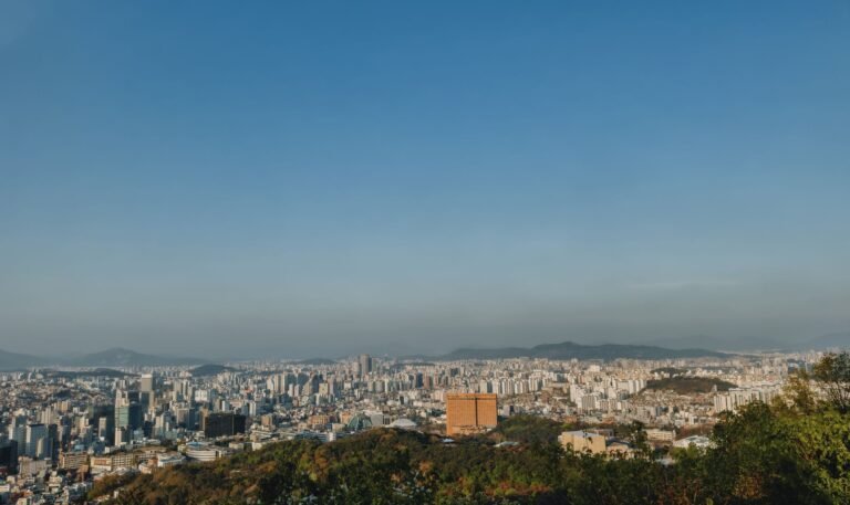 Expansive view of Seoul's skyline from a hilltop with clear blue sky.
