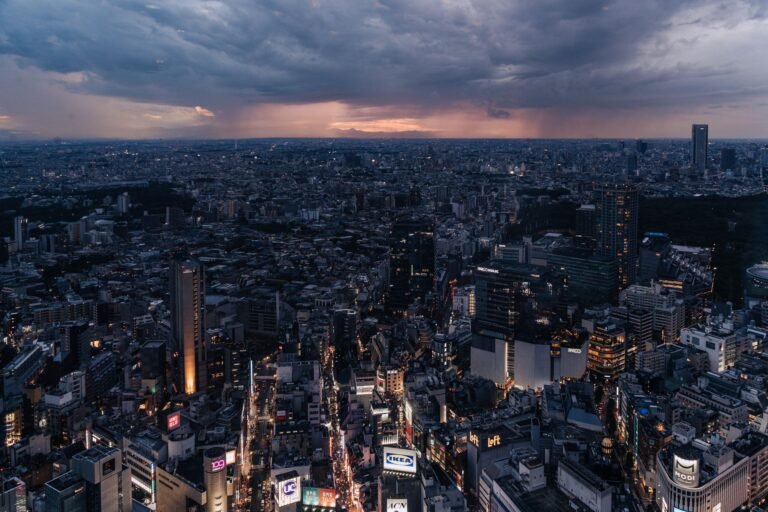 Aerial view of Tokyo cityscape during twilight with storm clouds gathering, showcasing urban lights.
